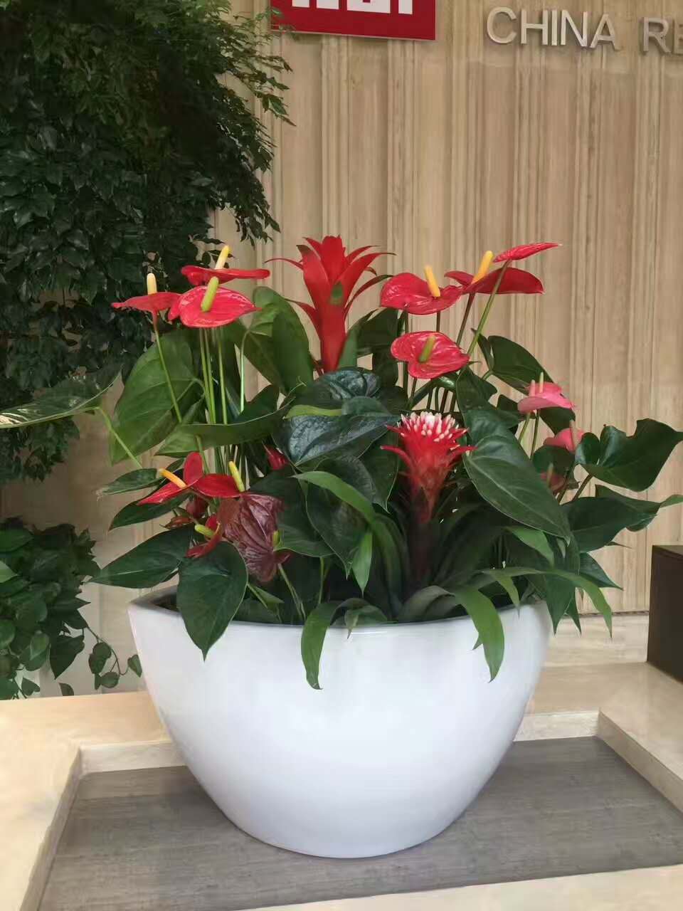 市人大考察組赴陜西甘肅考察林果花卉產(chǎn)業(yè)