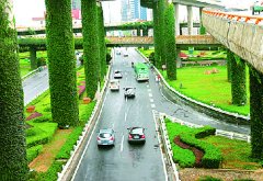 推廣立體綠化他們在行動