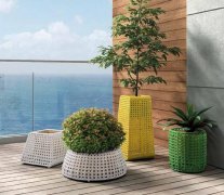 西安嘉禾苗圃告訴您：綠植租賃有什么價值呢？