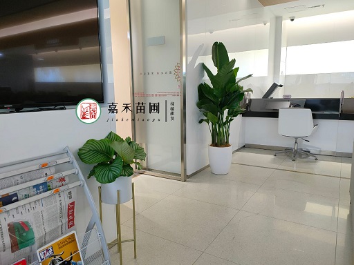 銀行如何通過花卉租擺綠植租賃服務打造宜人工作空間