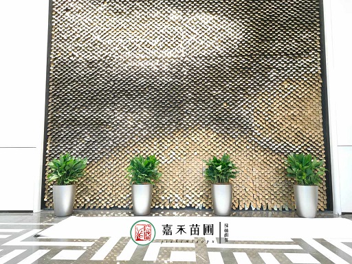 20231212/6577bf50829bd.jpg 微信圖片_202106150952295.jpg